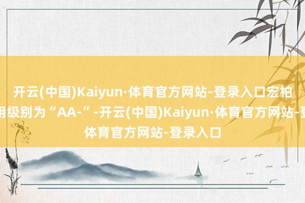 开云(中国)Kaiyun·体育官方网站-登录入口宏柏转债信用级别为“AA-”-开云(中国)Kaiyun·体育官方网站-登录入口